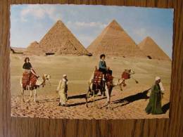 Egypt  Tourist Camelride Near The Giza Pyramids    -stamp -    D103200 - Piramidi