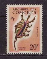 COMORES.  1962  N° 23 Neuf  X X - Ongebruikt
