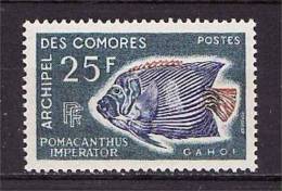 COMORES.  1968 N  48  Neuf  X X  Poisson - Nuevos