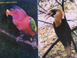 (333) Papua New Guinea - Papaousie  Nouvelle Guinée Birds - Papua Nuova Guinea