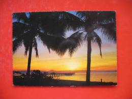 Green Island Tropical Sunset Through The Coconut Palms - Great Barrier Reef