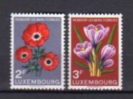 LUXEMBOURG      Neuf **     Y. Et T.   N° 506 / 507     Cote: 3,75 Euros - Unused Stamps