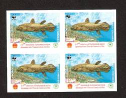 WWF 2005 COMOROS COMORES COMORO CHINA RED OVERPRINT COELACANTH FISH VISSEN IMPERF IMPERFORATED 4 BLOC MNH ** RARE - Unclassified