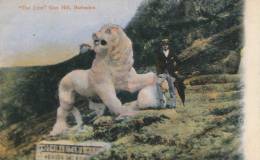 ANTILLES - BARBADES - "The Lion" Gun Hill, BARBADOS - Barbades