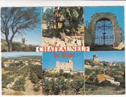 84 - Chateauneuf Du Pape - Son Vieux Château Et Son Vignoble. CPSM Multivues - Chateauneuf Du Pape