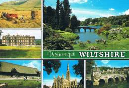 Pcturesque WILTSHIRE - White Horse, Westbury / Longleat House / Avebury / Salisbury Cathedral / Stourhead Gardens..... - Altri & Non Classificati
