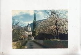 BT5787  Itxassou L Eglise Et Les Cerisiers En Fleurs 2 Scans - Itxassou