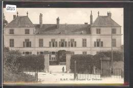 Delcampe - DISTRICT DE NYON /// COPPET - LE CHATEAU - TB - Coppet