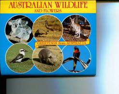 (folder 18) Australia - Wildlife And Flowers - Outback