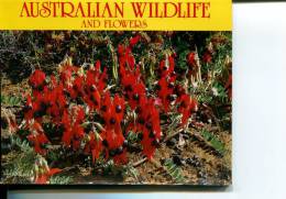 (folder 18) Australia - Wildlife And Flowers - Outback