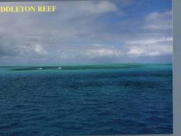 (456) Middleton Reef - Other & Unclassified