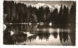 74 - PLATEAU D'ASSY (Haute-Savoie) - Le Lac Vert Et Le Mont-Blanc - Ed. GIL N° 5540 - Passy