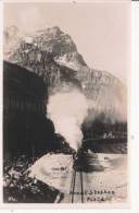 MOUNT STEPHEN FIETA 54  (CARTE PHOTO TRAIN CIRCULANT) - Sonstige & Ohne Zuordnung