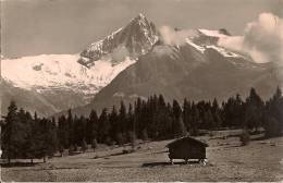 13 / 4 / 63    -HELLELEN BEI  ZENGGEN -BIETSHORN     - CPSM - Horn