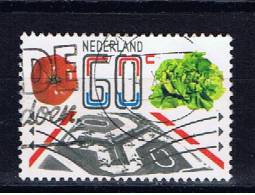 NL+ Niederlande 1981 Mi 1191 - Oblitérés