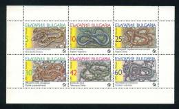 3805Ia Bulgaria 1989 Animals Snakes MS ** MNH/ Schlangen -Turkische Sanaboa Askulapnatter Leopardnatter Katzennatter Sch - Serpents