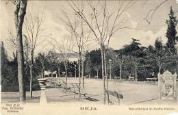 BEJA Rua Principal Do Jardim Publico 2 Scans PORTUGAL - Beja