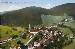 Mars13 1096 : Wildemann  -  Harz  -  Schönen Aussicht - Wildemann