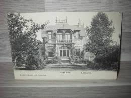 Cappellen - Villa Cora - Hoelen N° 490 - Kapellen