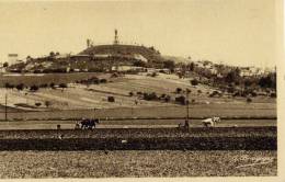 51 - CHÂTILLON-SUR-MARNE - Statue Du Pape Urbain - Scène De Labourage - Châtillon-sur-Marne