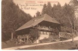 Todtmoos (Waldshut-Bade-Wurtemberg )-1907-Eingang Zur Rabenschlucht-Forêt Noire-Ecrite De La Maison Batzenhaus (scan) - Todtmoos