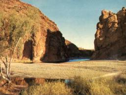 (310) Australia - NT - Glen Helen Gorge - Outback