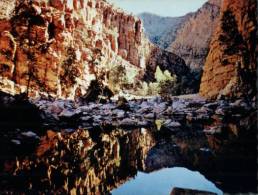 (310) Australia - NT - Ormiston Gorge - Outback