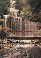 (310) Australia - TAS - Russel Falls - Other & Unclassified