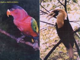 (444) Papua New Guinea - Papaousie Nouvelle Guinée - Birds - Papua New Guinea