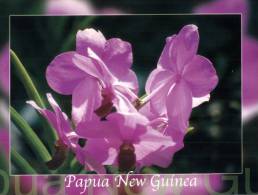 (444) Papua New Guinea - Papaousie Nouvelle Guinée - Orchids - Papouasie-Nouvelle-Guinée