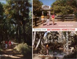 (156) Australia - NT - Mataranka Homestead - Katherine