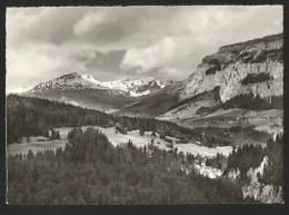 WALDHAUS FLIMS Conn Mit Flimserstein 1959 - Flims