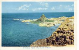 CP - PYRAMID ROCK AND BASS STRAIT - Islande