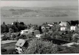 Suisse - Männedorf Am Zürichsee - Männedorf