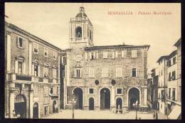 MARCHE SENEGALLIA PALAZZO MUNDIALE ED.CONTI BENEDETTO, Nr.28195. OLD POSTCARD CARTOLINA - Senigallia