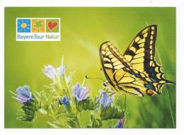 12453 - Carte PUB - PAPILLON - Papillons