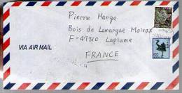 Lettre Cover Par Avion Via Air Mail Japon Nippon Pour La France - CAD Shimane 4-11-1992 / 2 Tp - Idéogramme Au Dos - Storia Postale