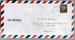 Lettre Cover Par Avion Via Air Mail Japon Nippon Pour La France - CAD Enokuma 19-01-1994 / 1 Tp - Brieven En Documenten