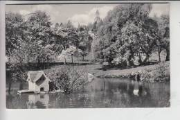 6242 KRONBERG, Schillerweiher 1964 - Kronberg