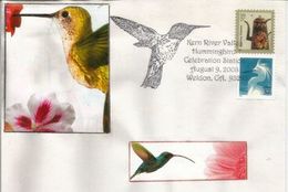 USA. Colibri De La Kern River Valley (Californie) Une Enveloppe Souvenir , Année 2008 - Colibris