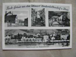 Niederdollendorf - Weinort  Am Rhein    D103676 - Koenigswinter