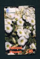 FALKLAND ISLANDS - Remote Phonecard As Scan - Falkland