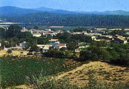 CPM 83 BESSE SUR ISSOLE VUE GENERALE - Besse-sur-Issole