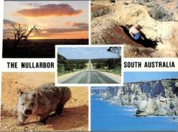 (360) Australia - SA - The Nullabor - Outback