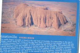 (370) Australia - NT - Ayers Rock - Uluru - Outback