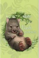 Australia 2013 Bush Babies Presentation Pack -see 2nd Scan - Presentation Packs