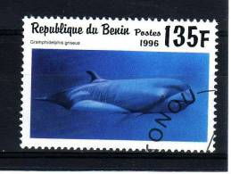 Bénin YV 710DC O 1995 1996 Dauphin - Delfines