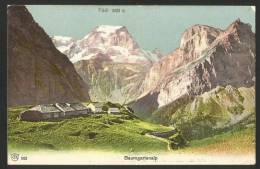 BAUMGARTENALP Bei Linthal Glarus Tödi 1907 - Linthal