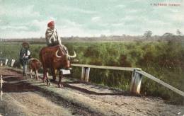 A Burmese Farmer - Myanmar (Birma)