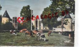 87 - ORADOUR SUR VAYRES - LE CHATEAU DE CROMIERES - Oradour Sur Vayres